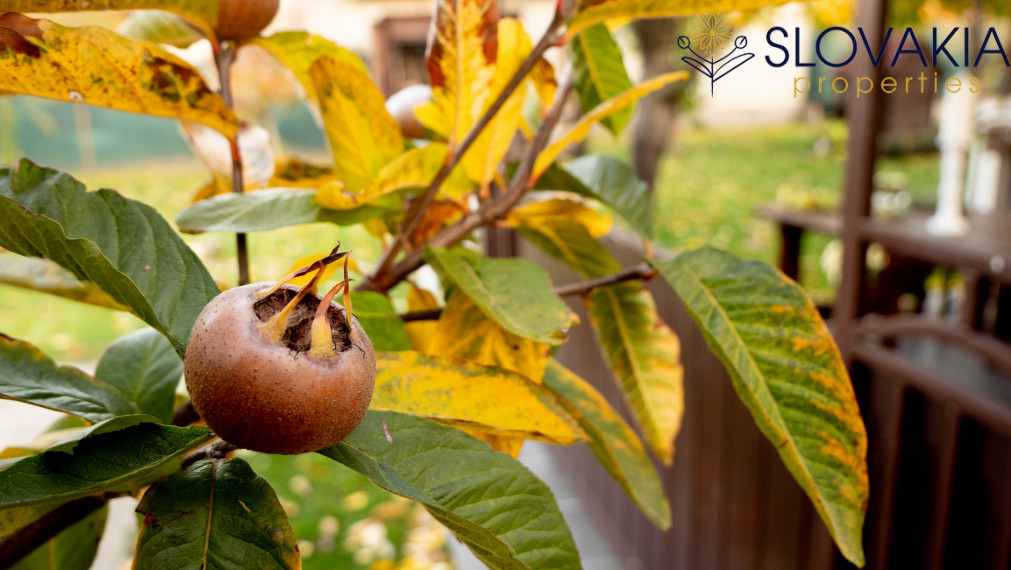 PREDANÉ Záhrada z ktorej sa vám nebude chcieť odísť