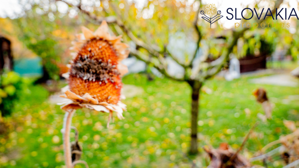 PREDANÉ Záhrada z ktorej sa vám nebude chcieť odísť