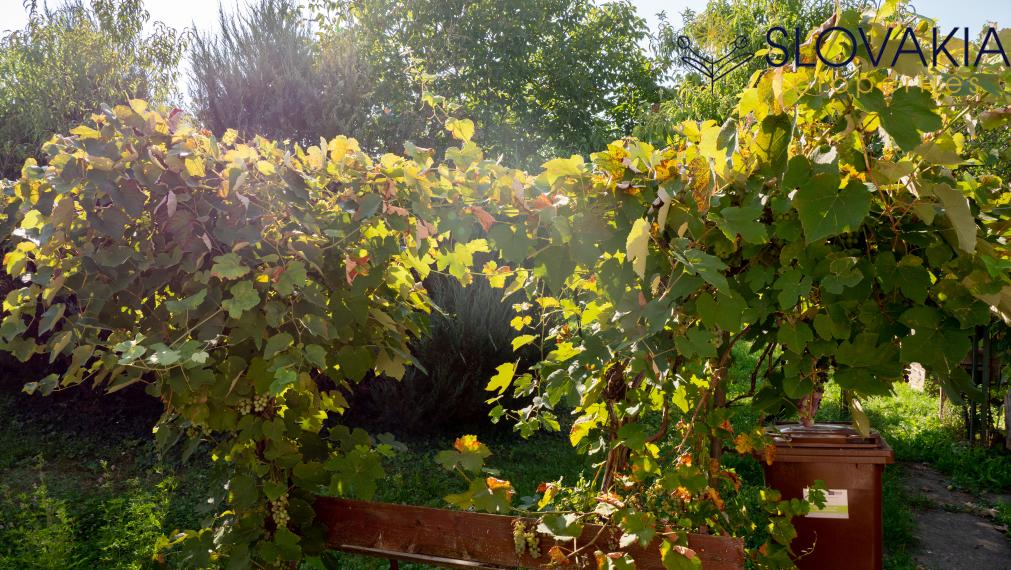 PREDANÉ Na predaj pozemok 14 á s rodinným domom