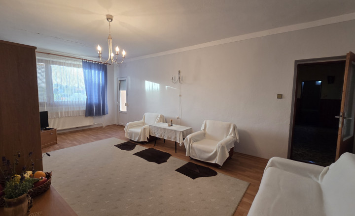 Rodinný dom podpivničený, 11árový pozemok, vynikajúci stav - fotografia 18
