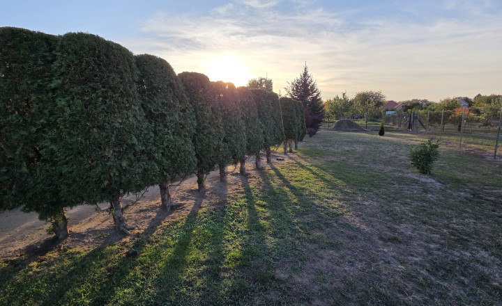 Rodinný dom podpivničený, 11árový pozemok, vynikajúci stav - fotografia 7